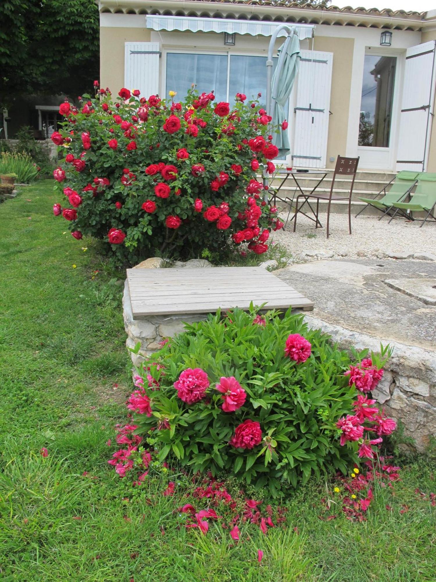Bed and Breakfast Lou Cardalines Bédoin Esterno foto