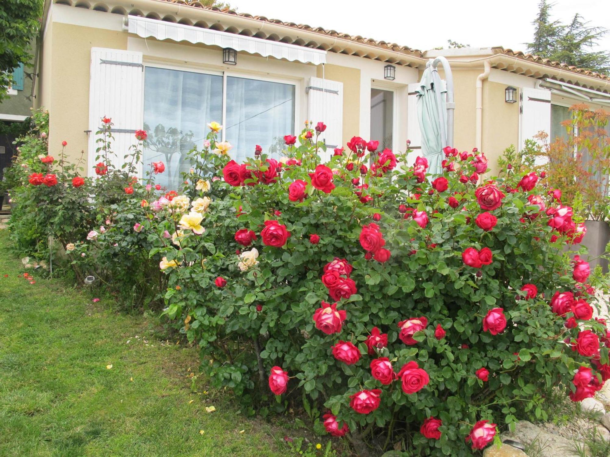 Bed and Breakfast Lou Cardalines Bédoin Esterno foto