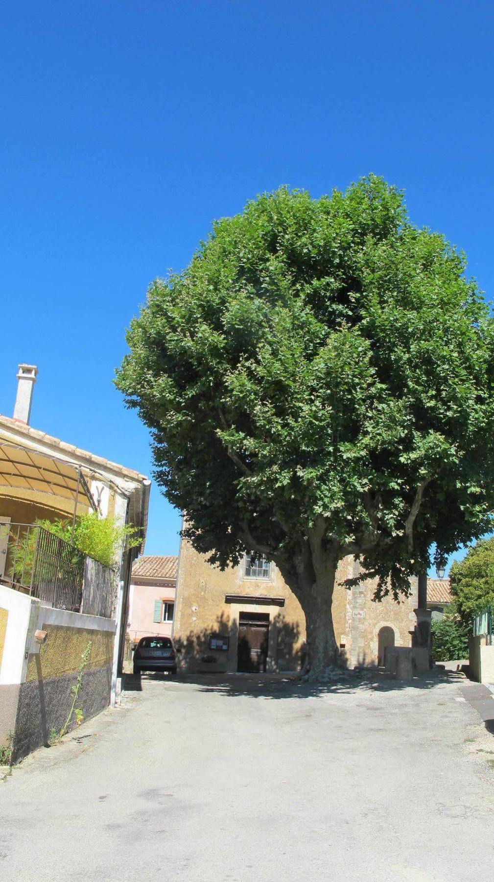 Bed and Breakfast Lou Cardalines Bédoin Esterno foto