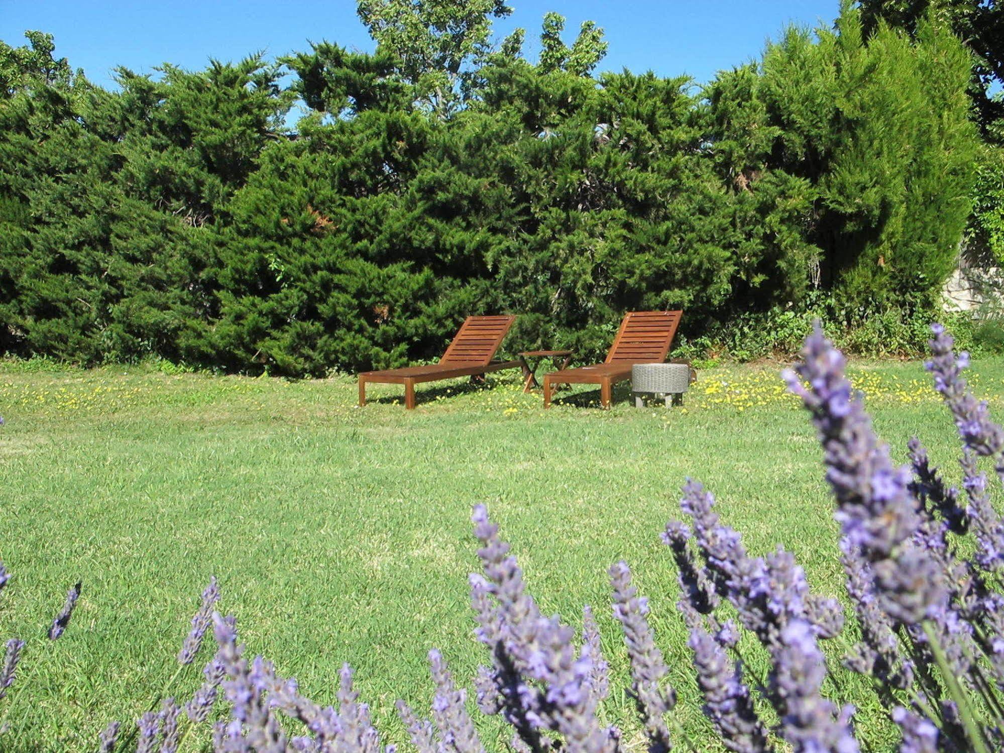 Bed and Breakfast Lou Cardalines Bédoin Esterno foto